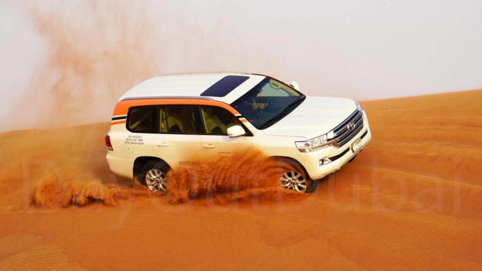 Desert Safari Desert Safari