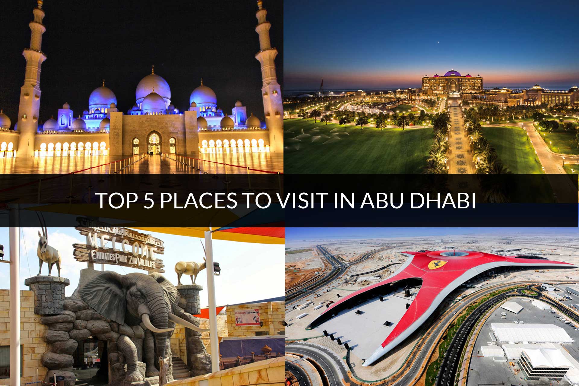 Top 5 Places to Visit in Abu Dhabi