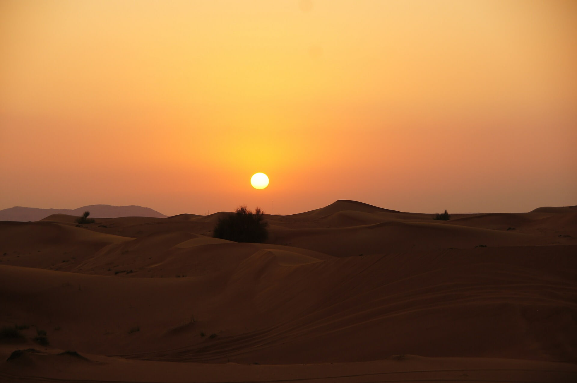 Desert