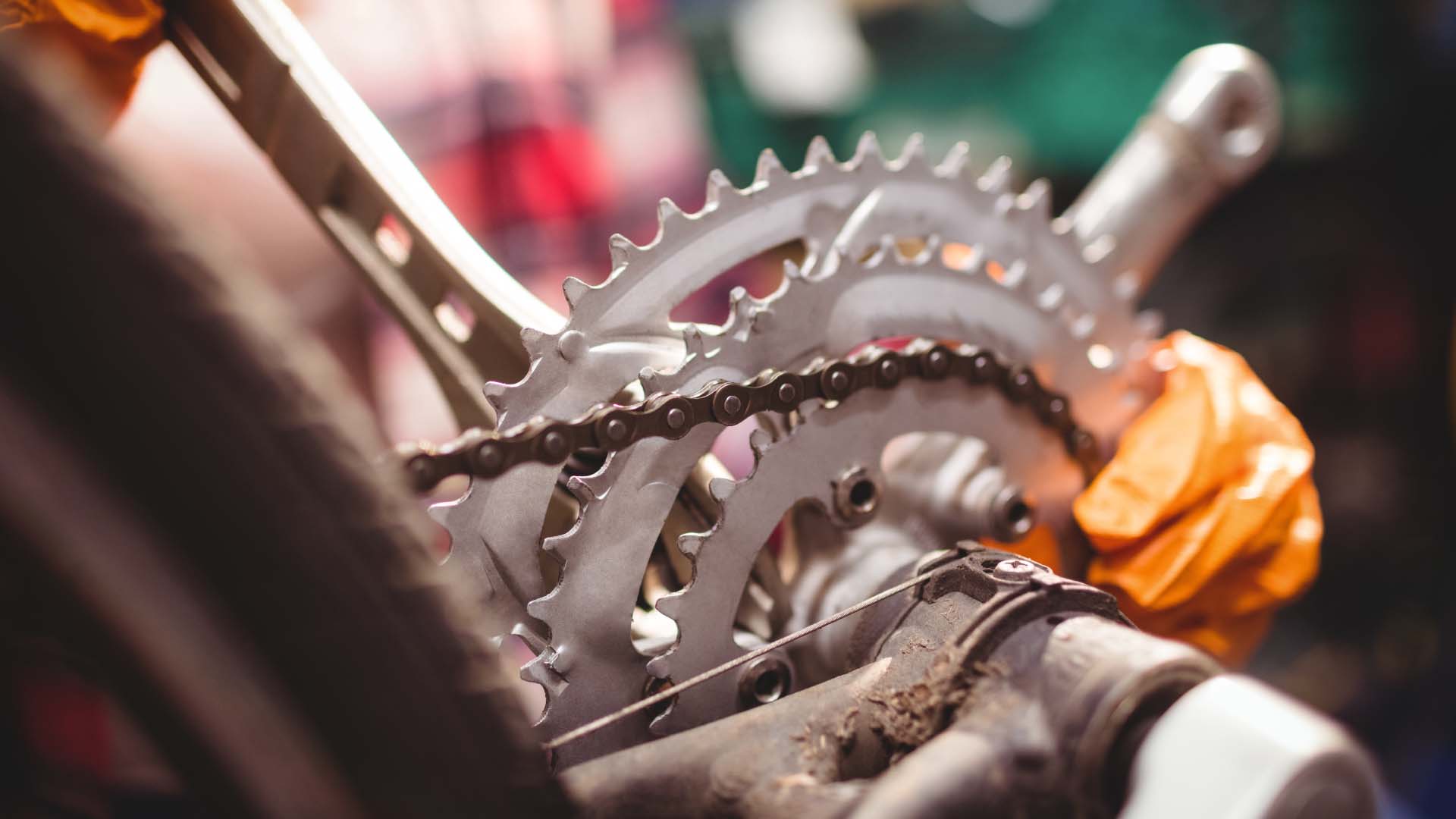 Mechanic Repairing Bicycle