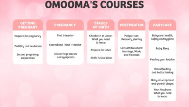 free-access-to-video-courses-from-omooma